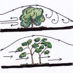 Pattern Thumbnail